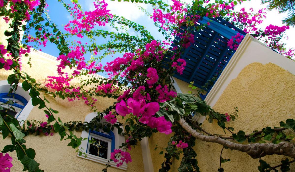 Ξενοδοχείο Ζευς Aparthotel Καμάρι Εξωτερικό φωτογραφία